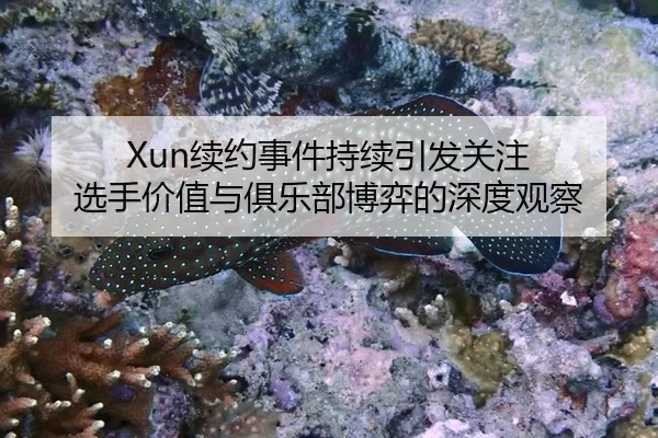 xu-yue-shi-jian-chi-xu-yin-fa-guan-zhu-xuan-shou-jia-zhi-yu-ju-le-bu-bo-yi-de-shen-du-guan-cha-2-292.jpg
